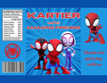 Custom Spidey and Friends Kids Birthday Party Favor Bundle- Chip Bags, Caprisuns, and Coloring Books